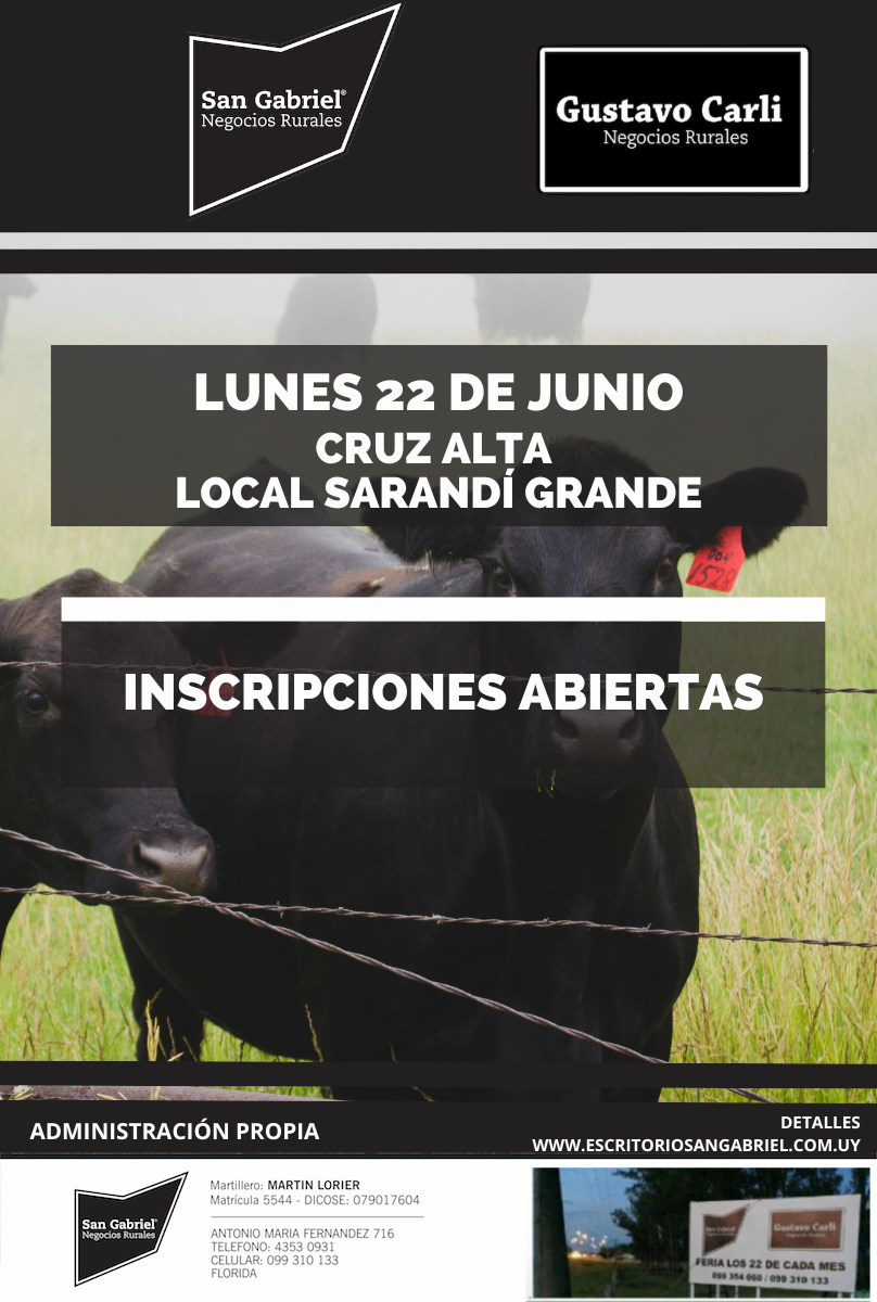 Remate Feria Mensual - Cruz Alta Sarandi