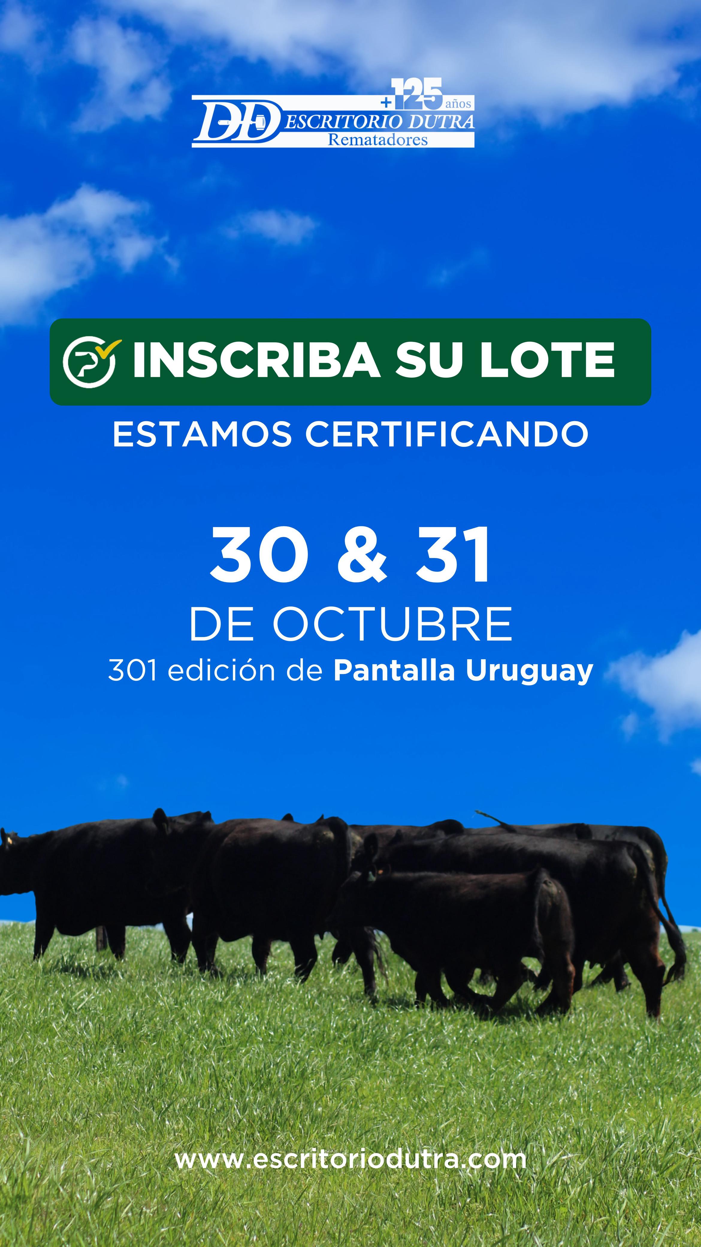 301º remate Pantalla Uruguay