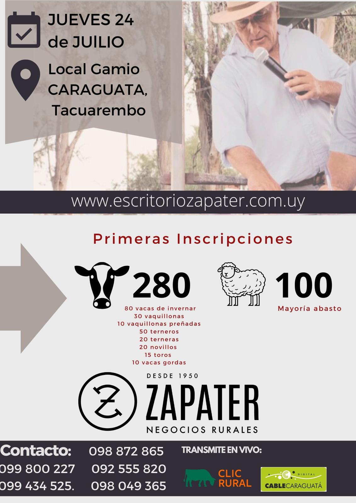 Afiche Feria mensual - Escritorio Zapater