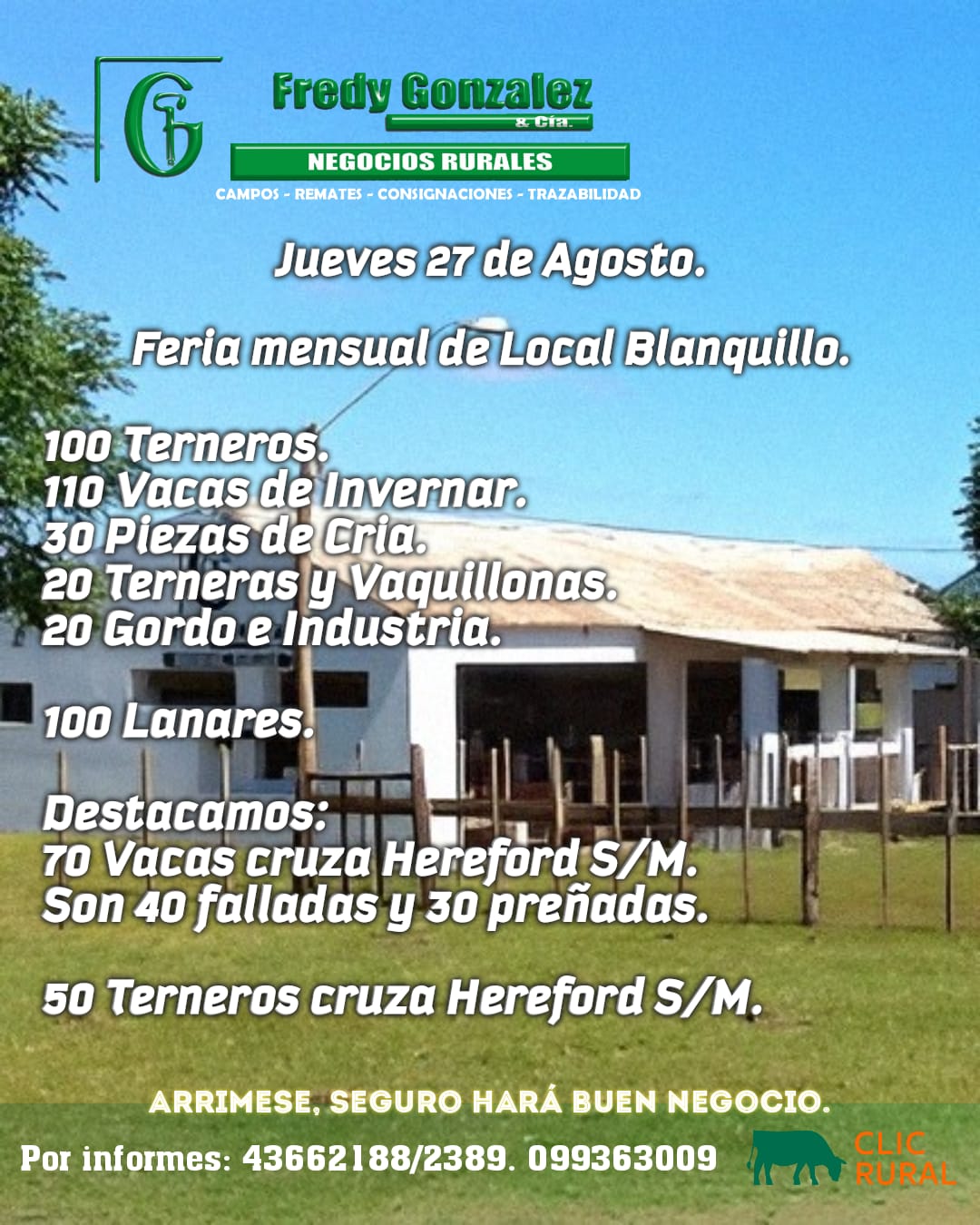 Feria mensual - Fredy González y Cia