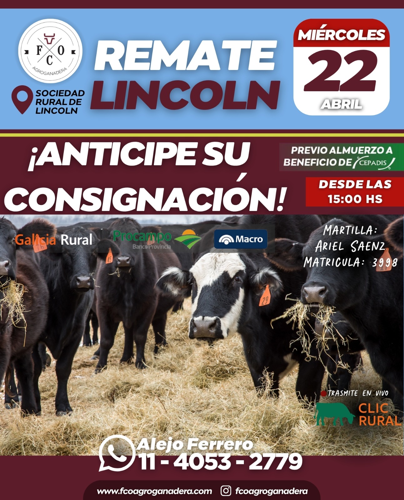 Afiche Remate Lincoln