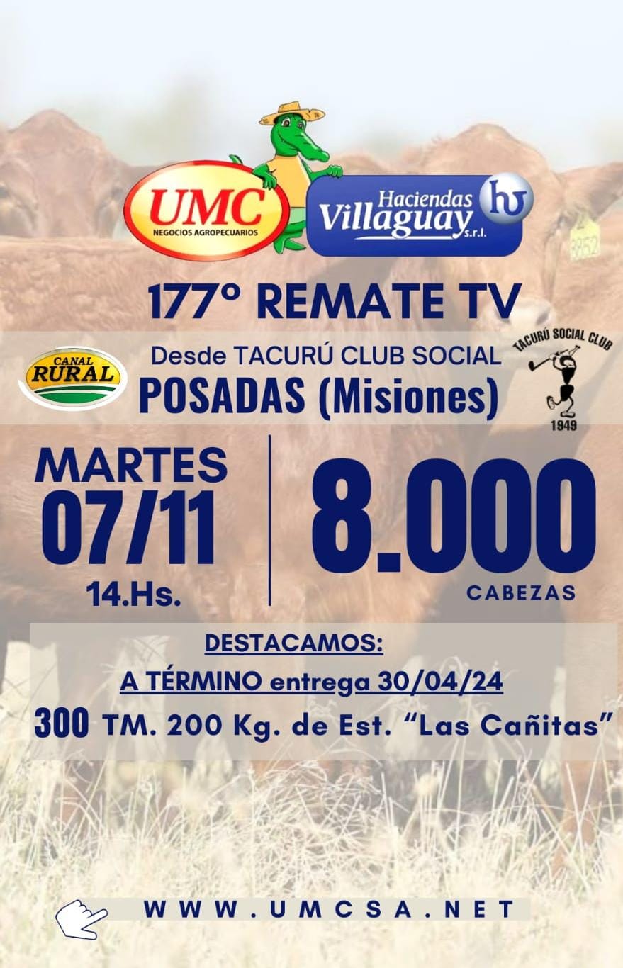 Afiche TV - 177