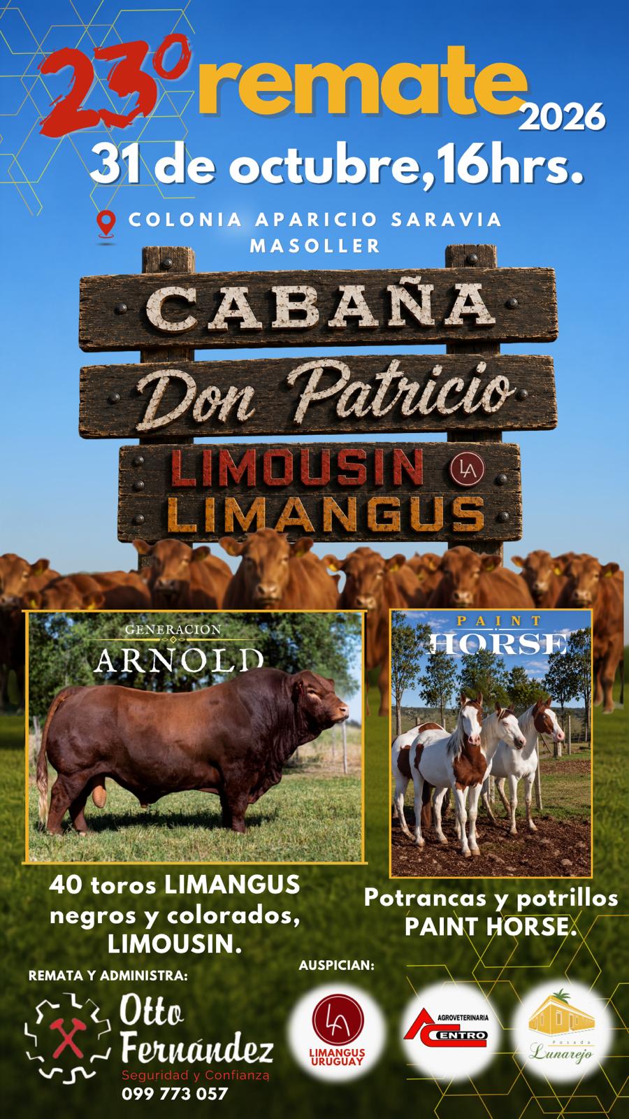 Afiche 23º Cabaña Don Patricio