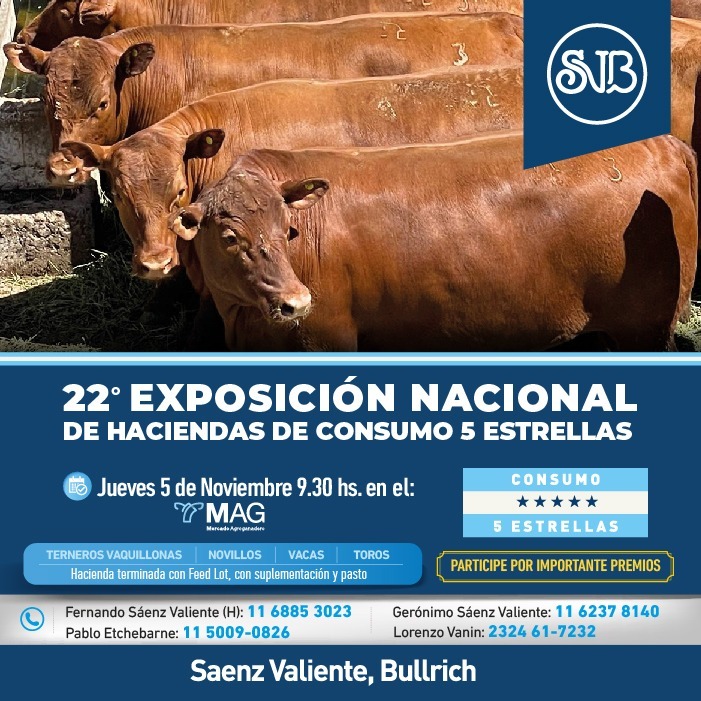 Expo Consumo 5 Estrellas