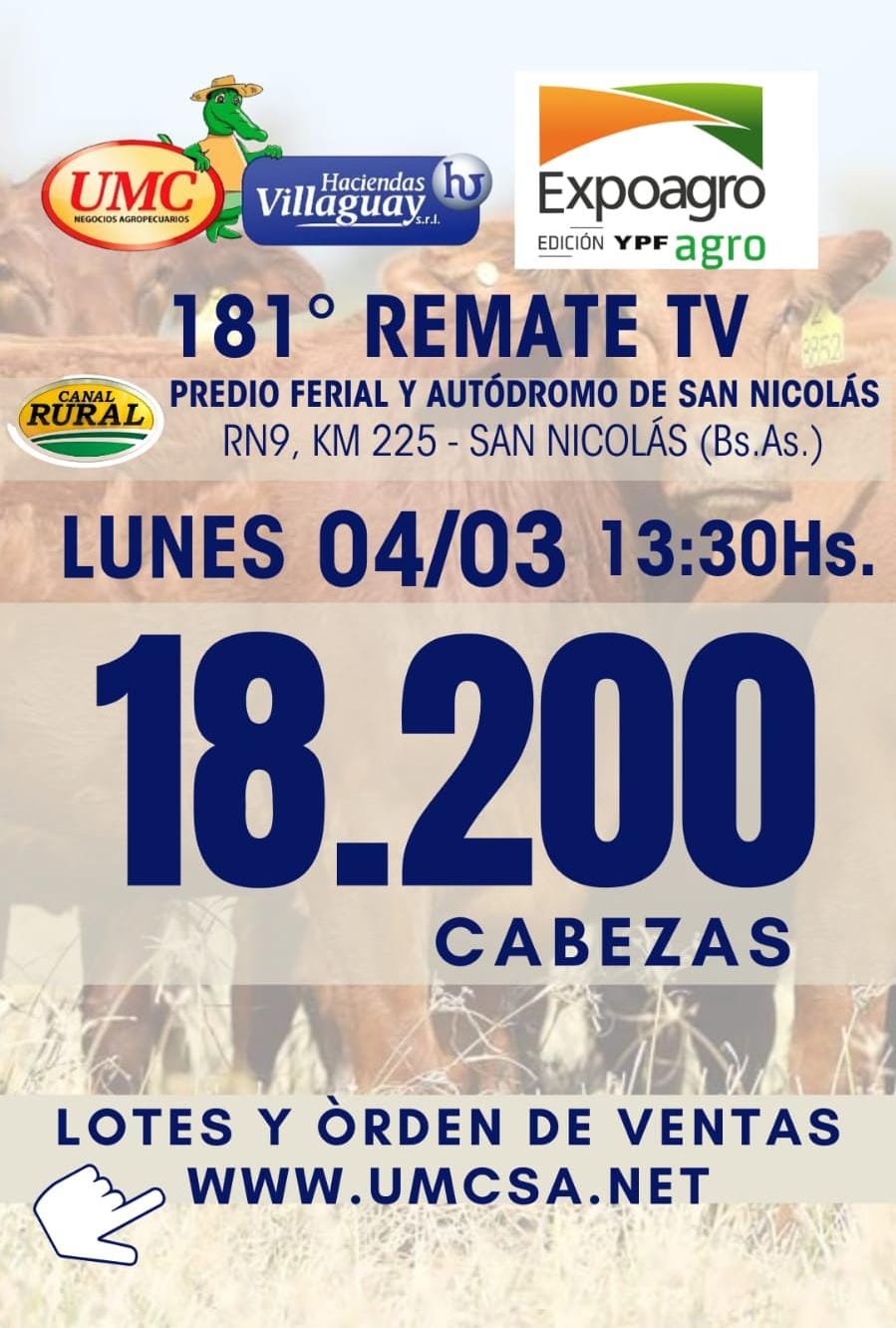 Afiche TV - 181
