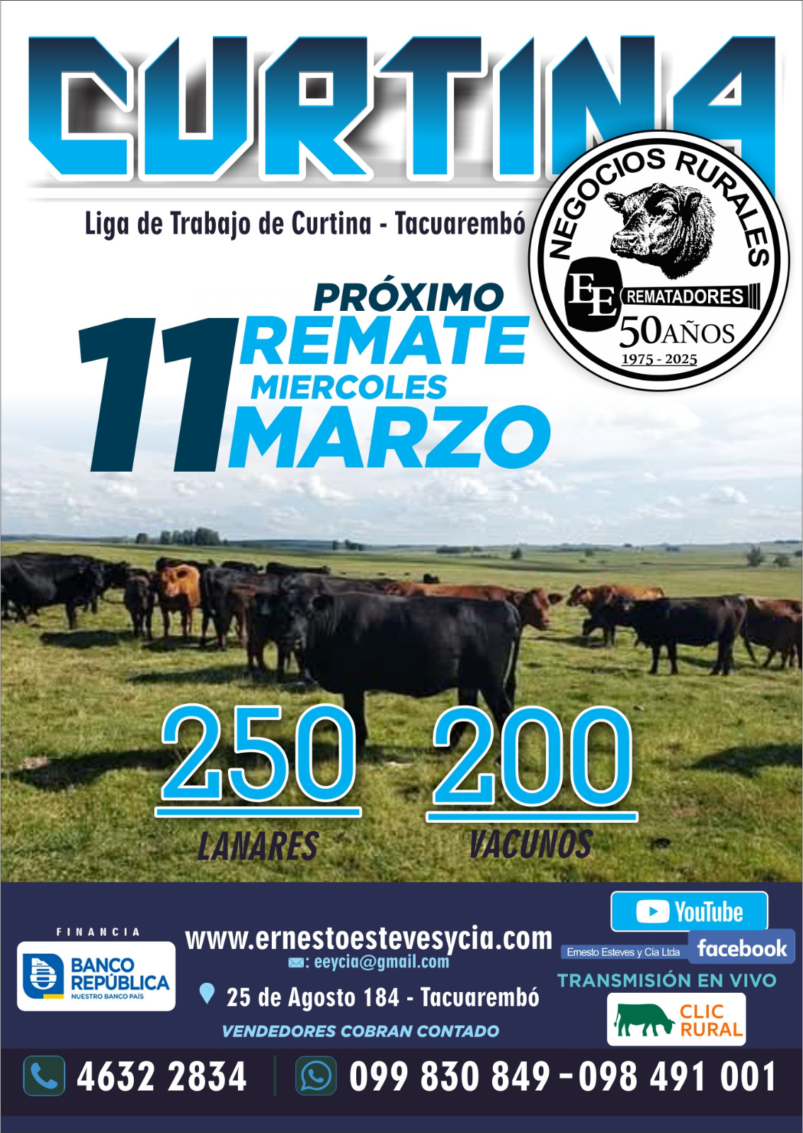 Feria Mensual - Ernesto Esteves y Cia