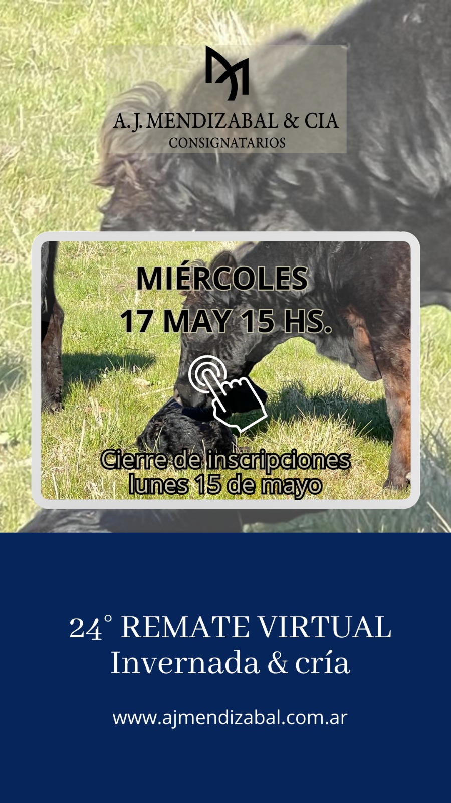 Afiche 24° Remate Virtual 
