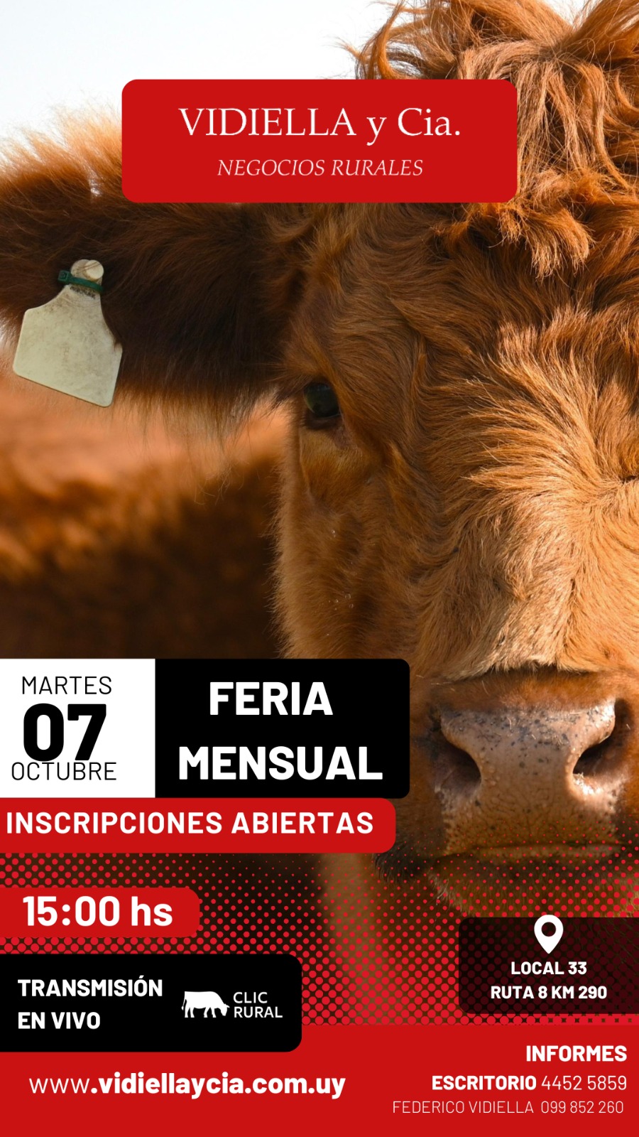 Remate Feria Mensual - Vidiella y Cia