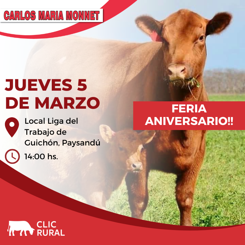 Feria Aniversario - Guichon