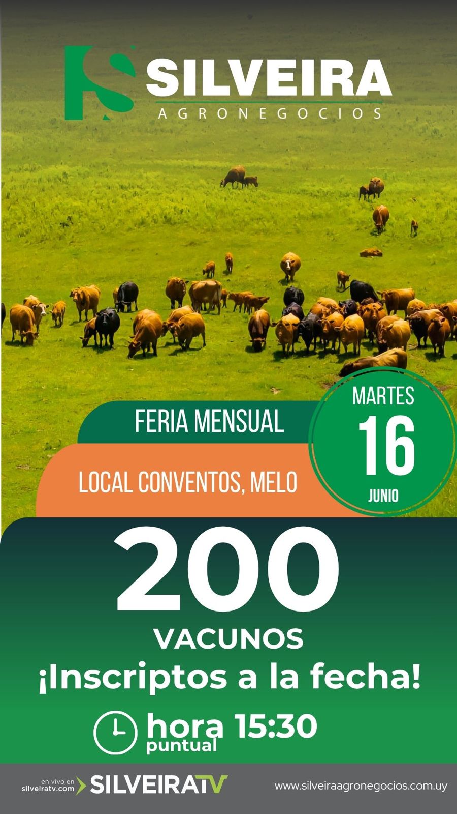 Remate Feria mensual - Silveira Agronegocios