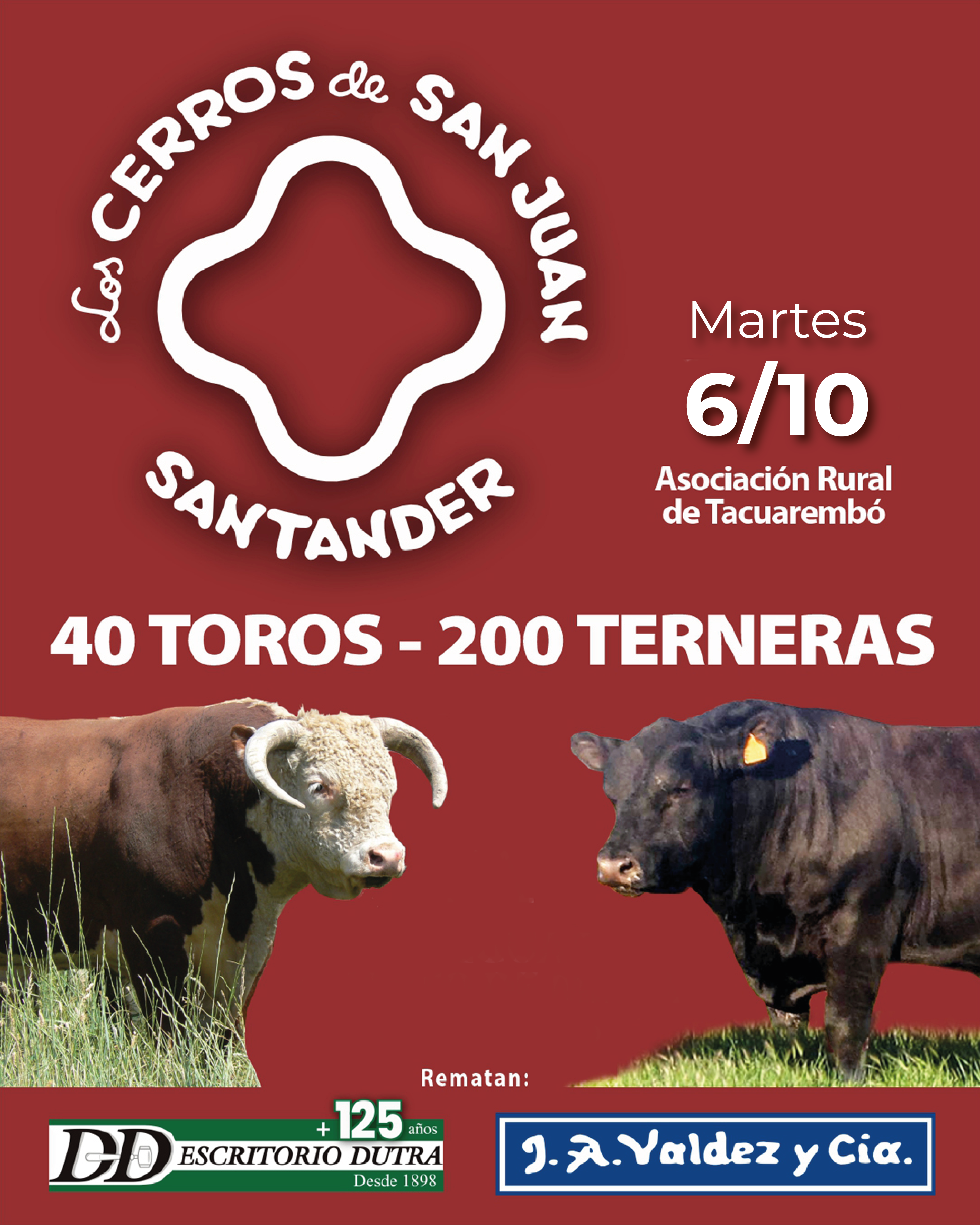 Los cerros de San Juan - Santander
