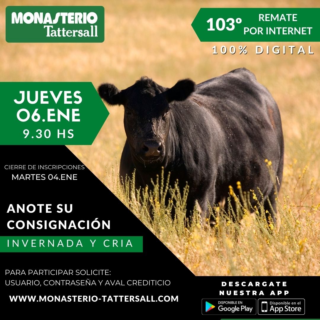 Afiche 103° Remate por Internet