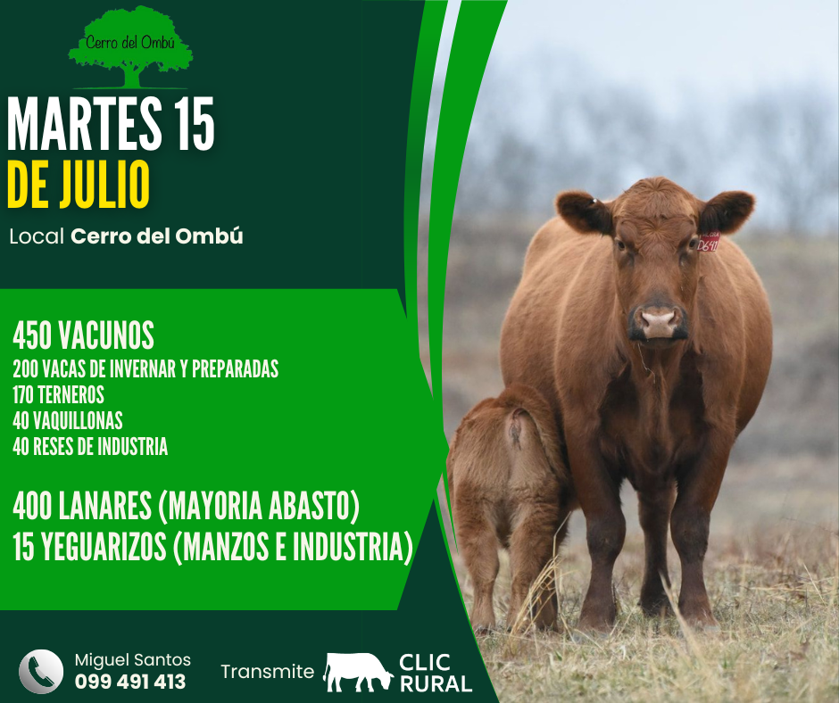 Afiche Feria mensual - Cerro del Ombu