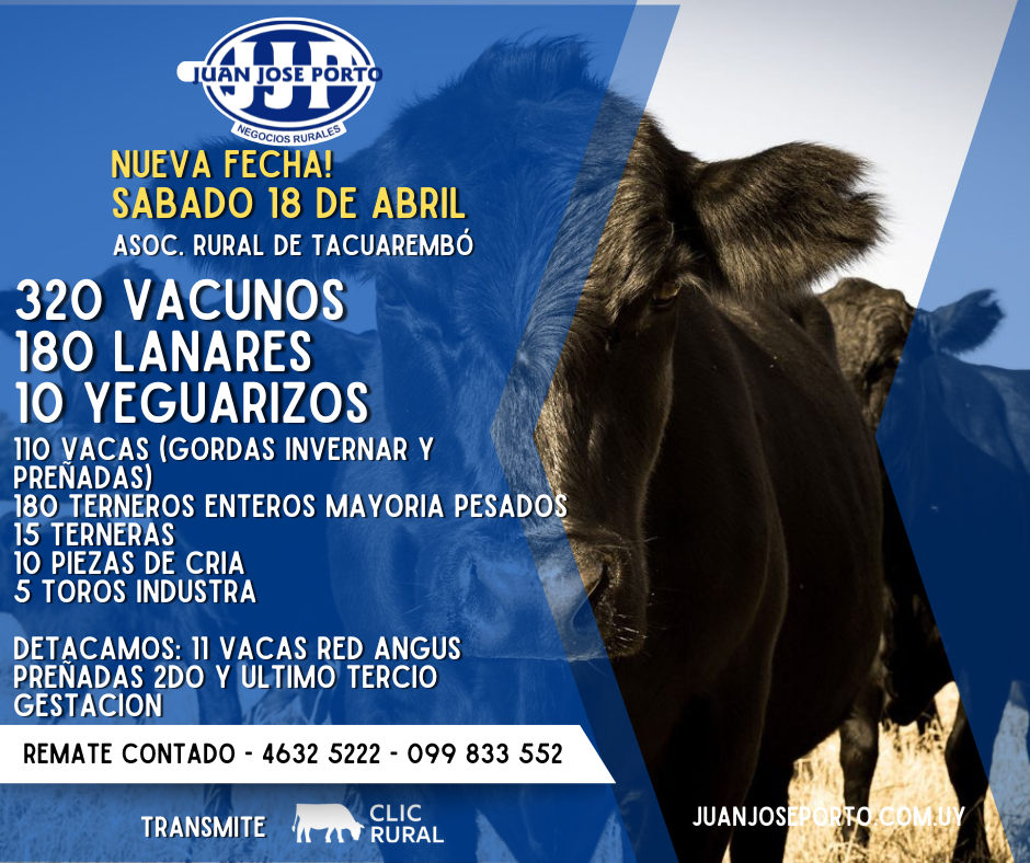 Feria mensual - Juan Jose Porto