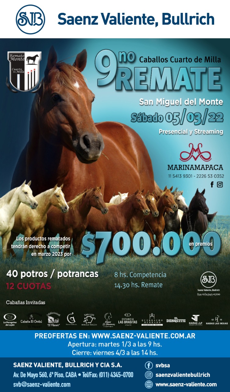 Afiche Caballo Cuarto de Milla