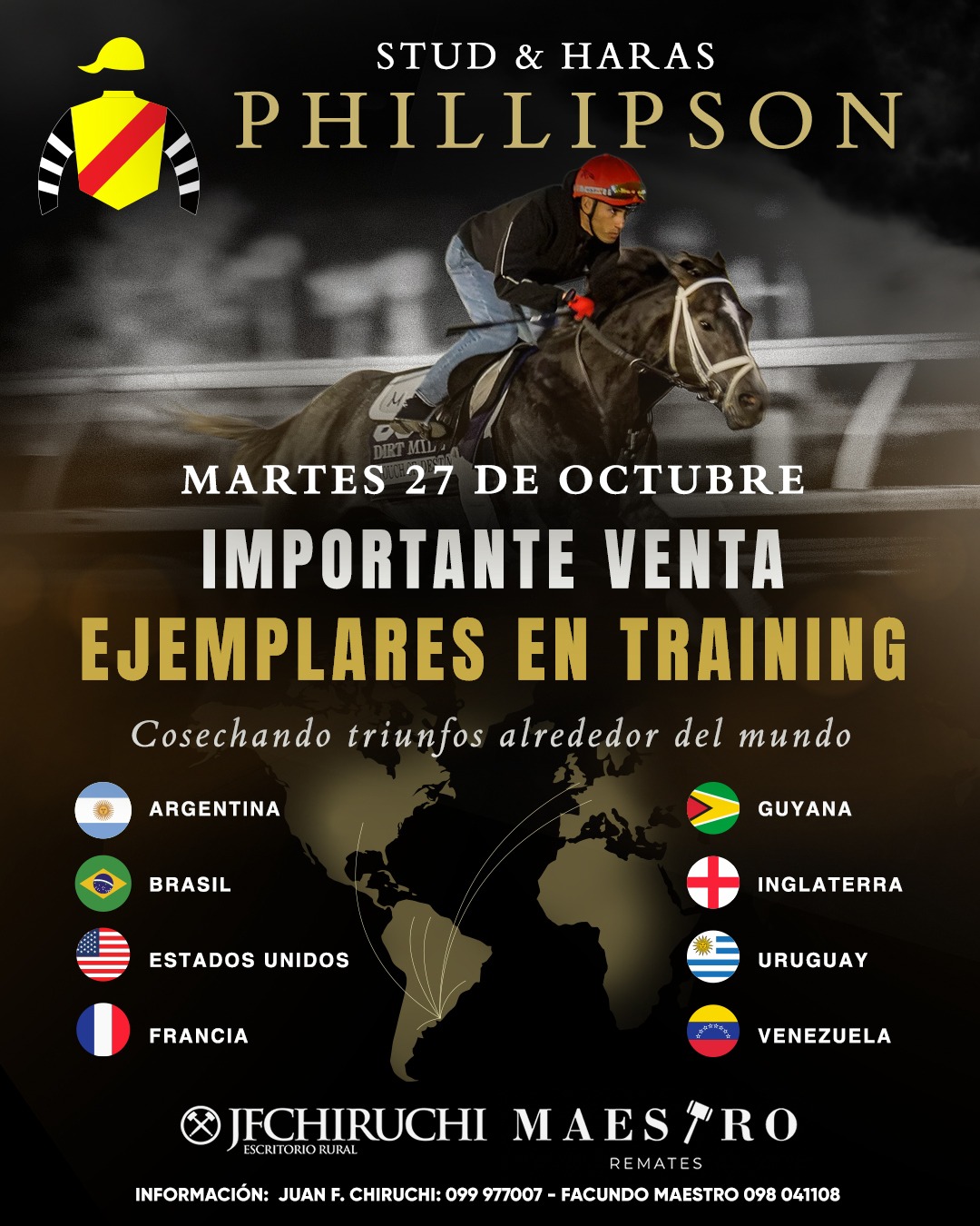 Afiche Stud & Haras Phillipson