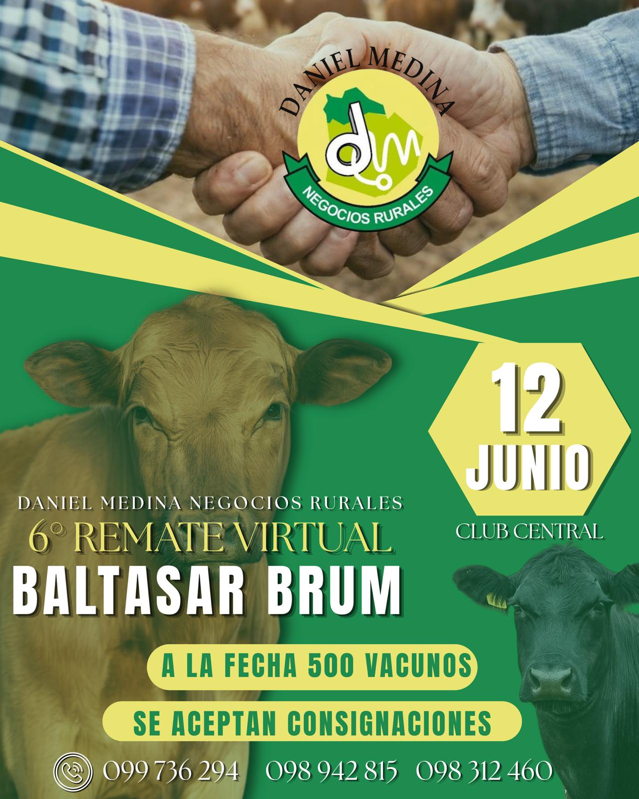 Remate 6to remate Virtual Baltasar