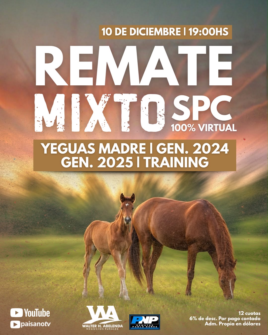 Remate mixto SPC