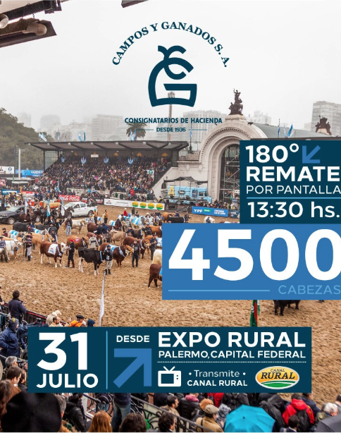 Afiche 180º REMATE POR PANTALLA - Palermo - Buenos Aires