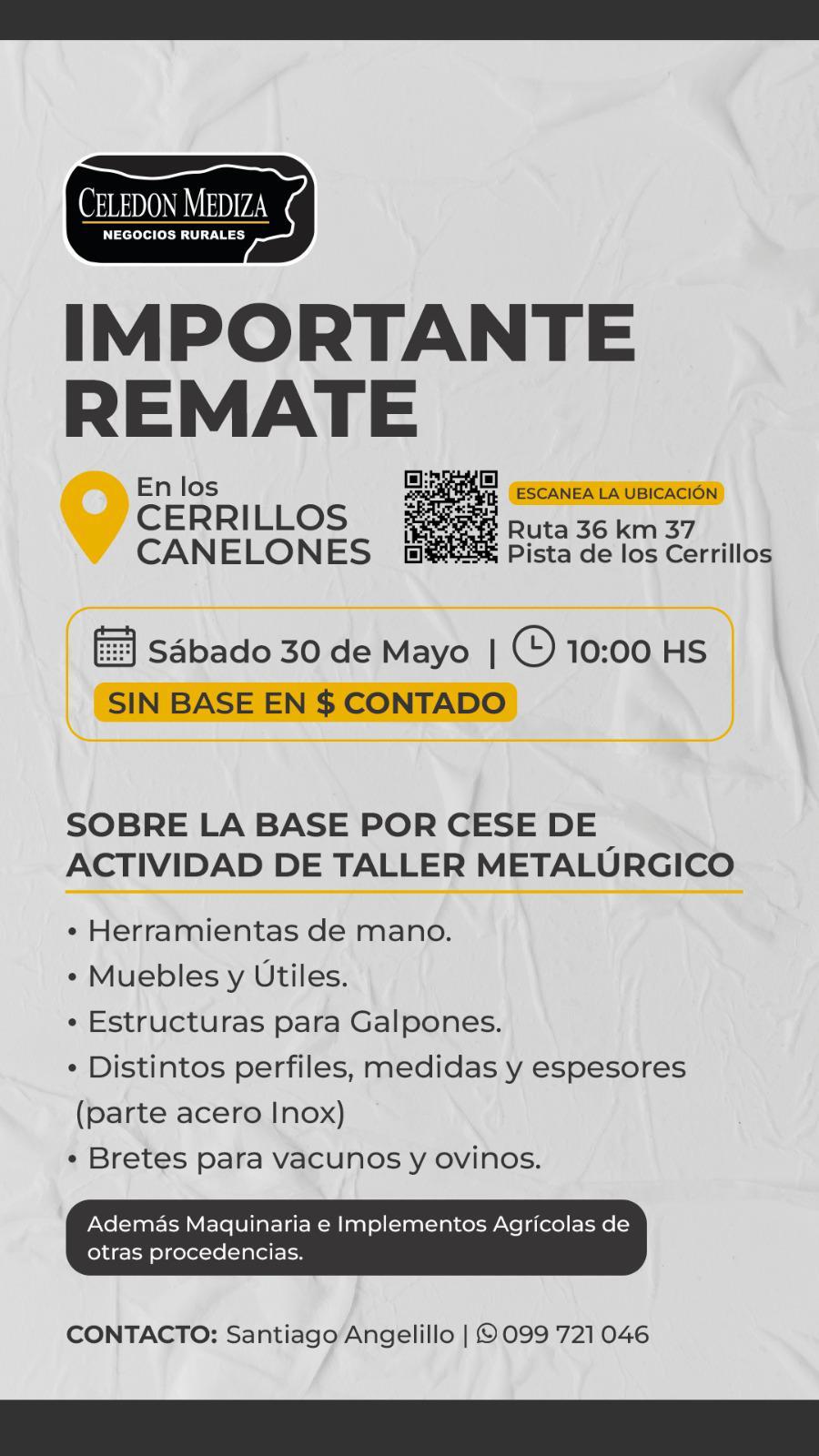 Remate Importante Remate - Celedon Mediza