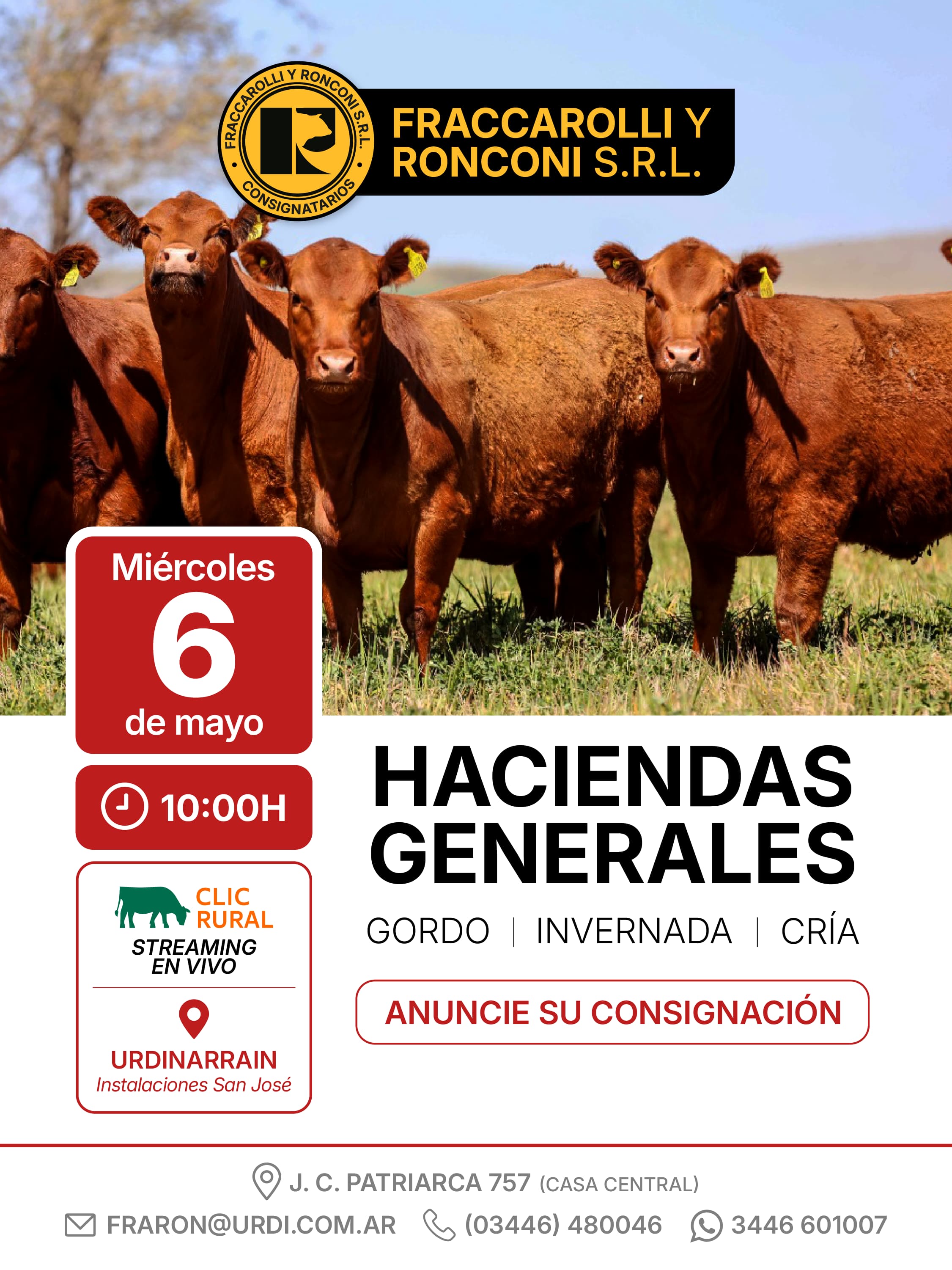 Afiche 