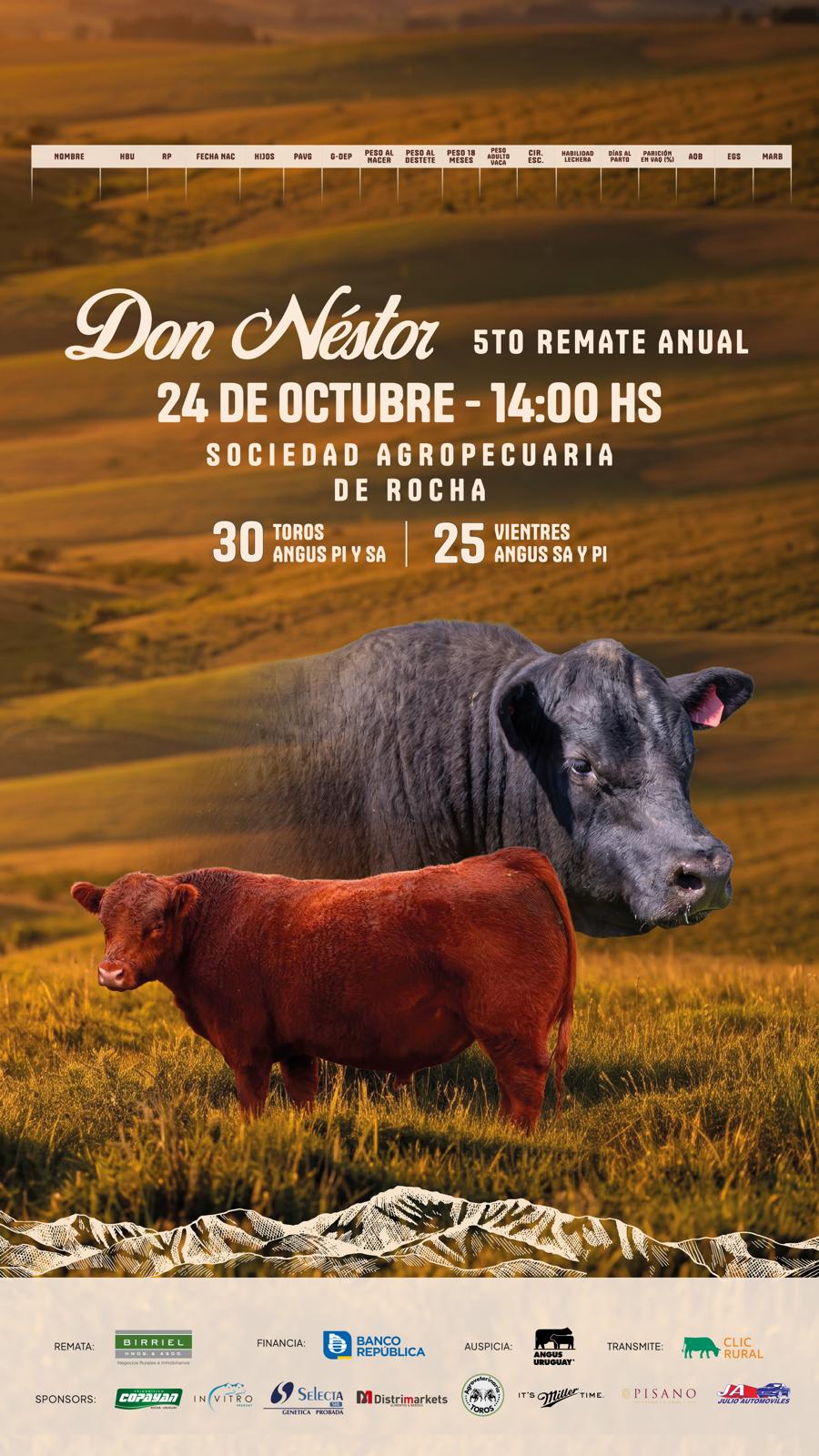 Remate 5º Don Nestor
