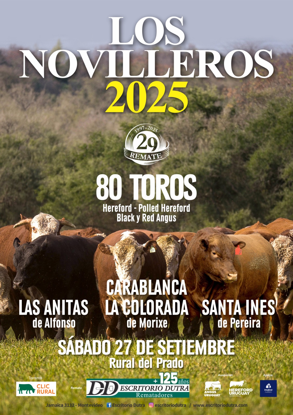 Remate Los Novilleros