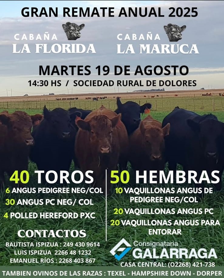 Remate Gran Remate Anual 2025