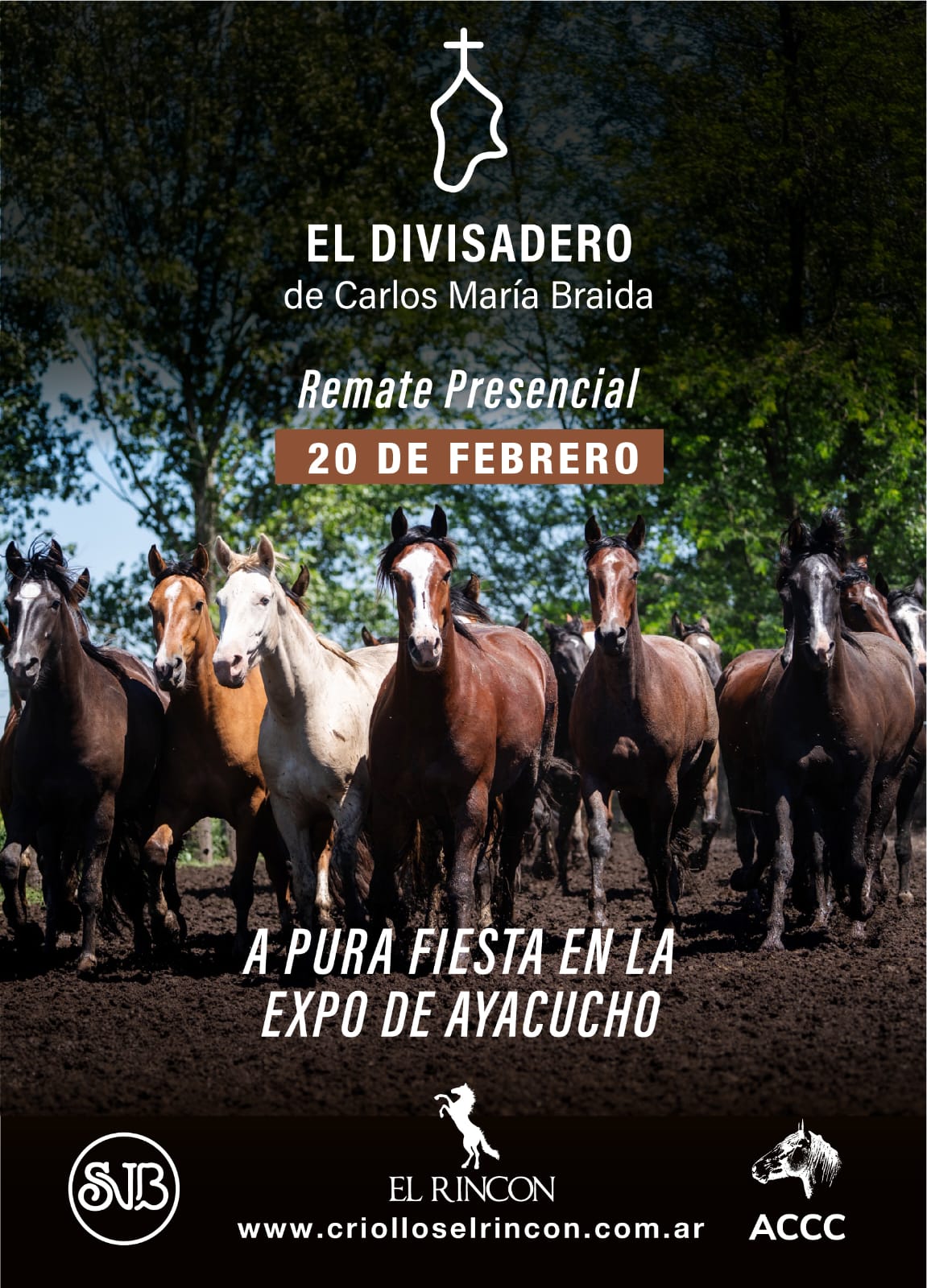 Afiche El divisadero de Carlos María Braida