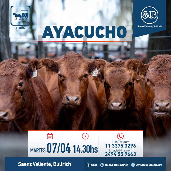 Feria en Ayacucho