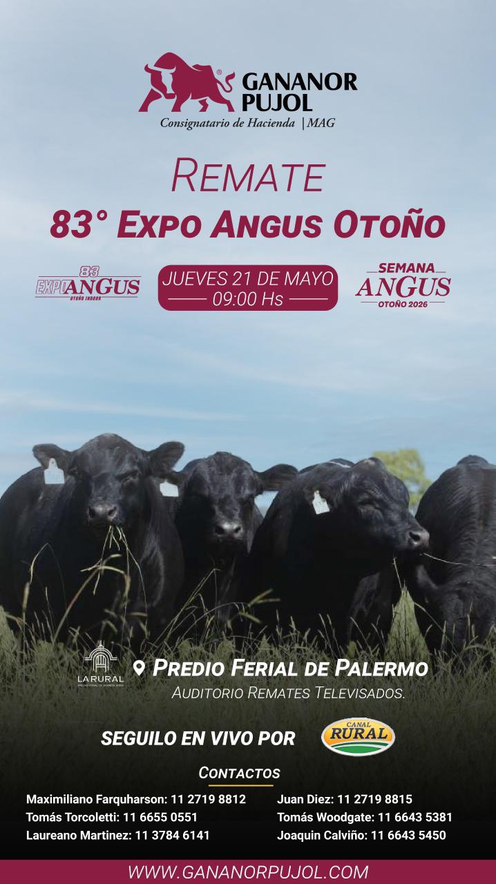 Remate 83° Expo Angus Otoño