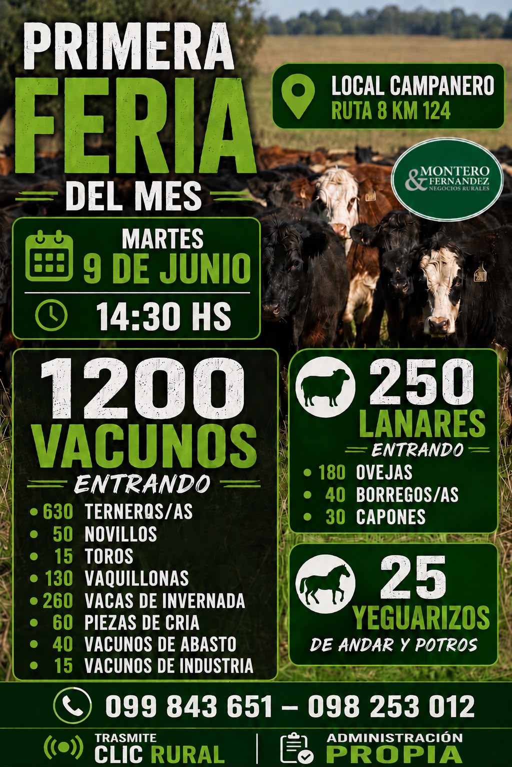 Primera feria del mes - Montero Fernandez