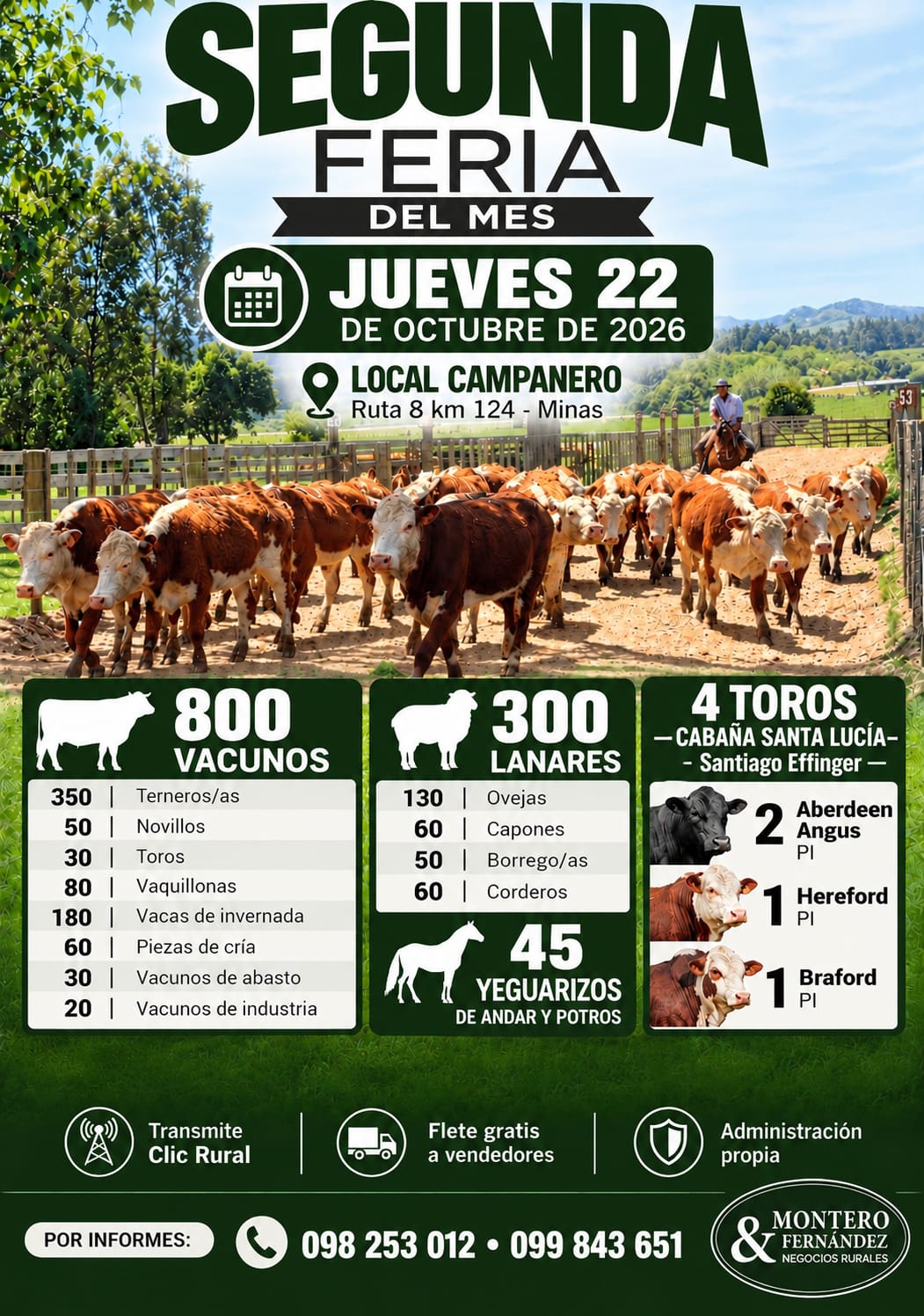 Afiche Feria mensual - Montero Fernandez