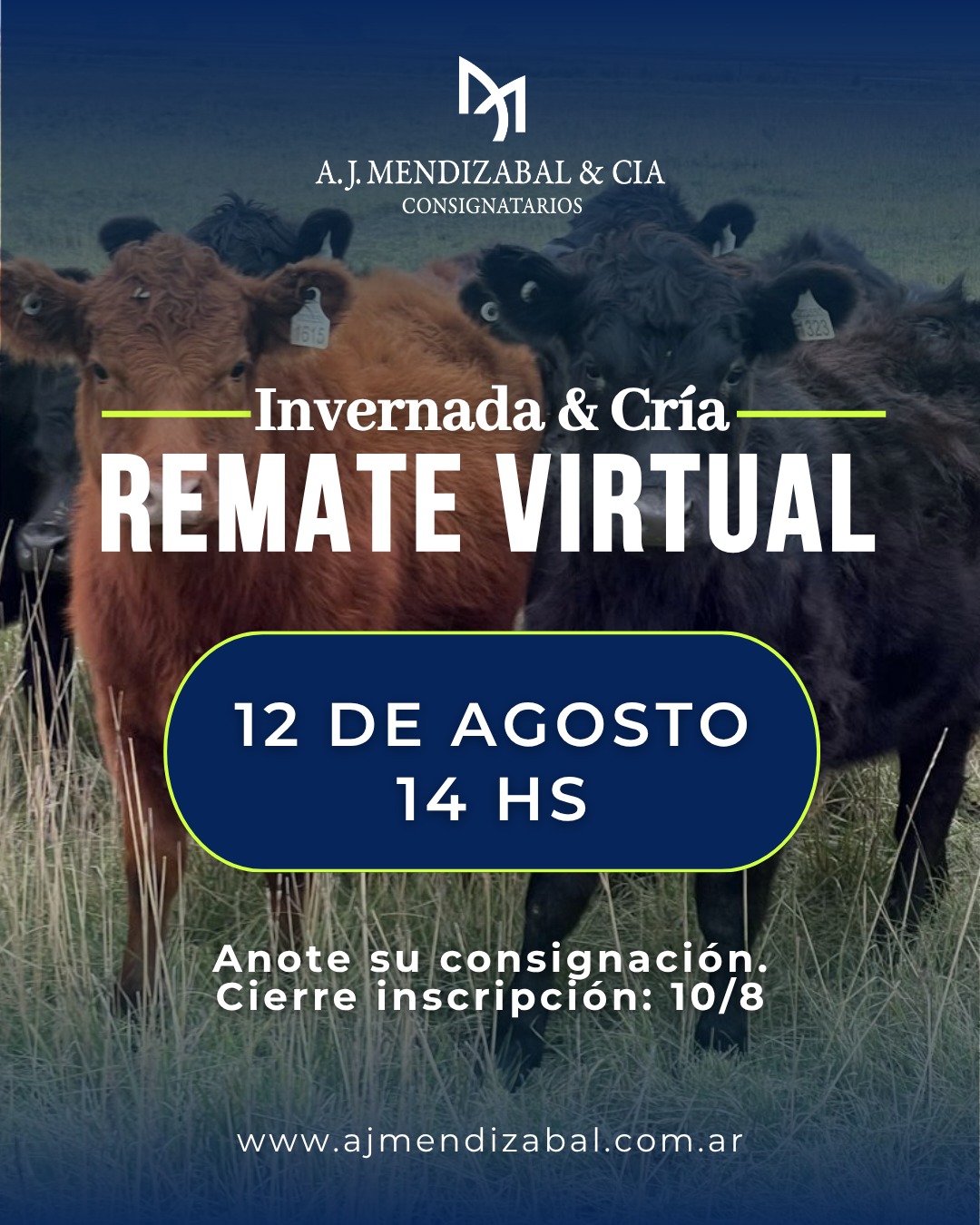 Afiche Remate virtual
