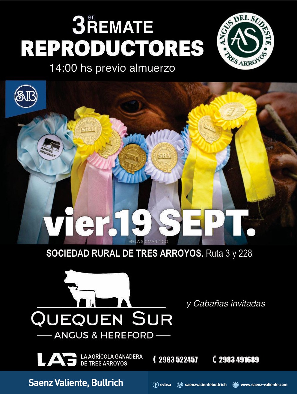 Angus del Sudeste