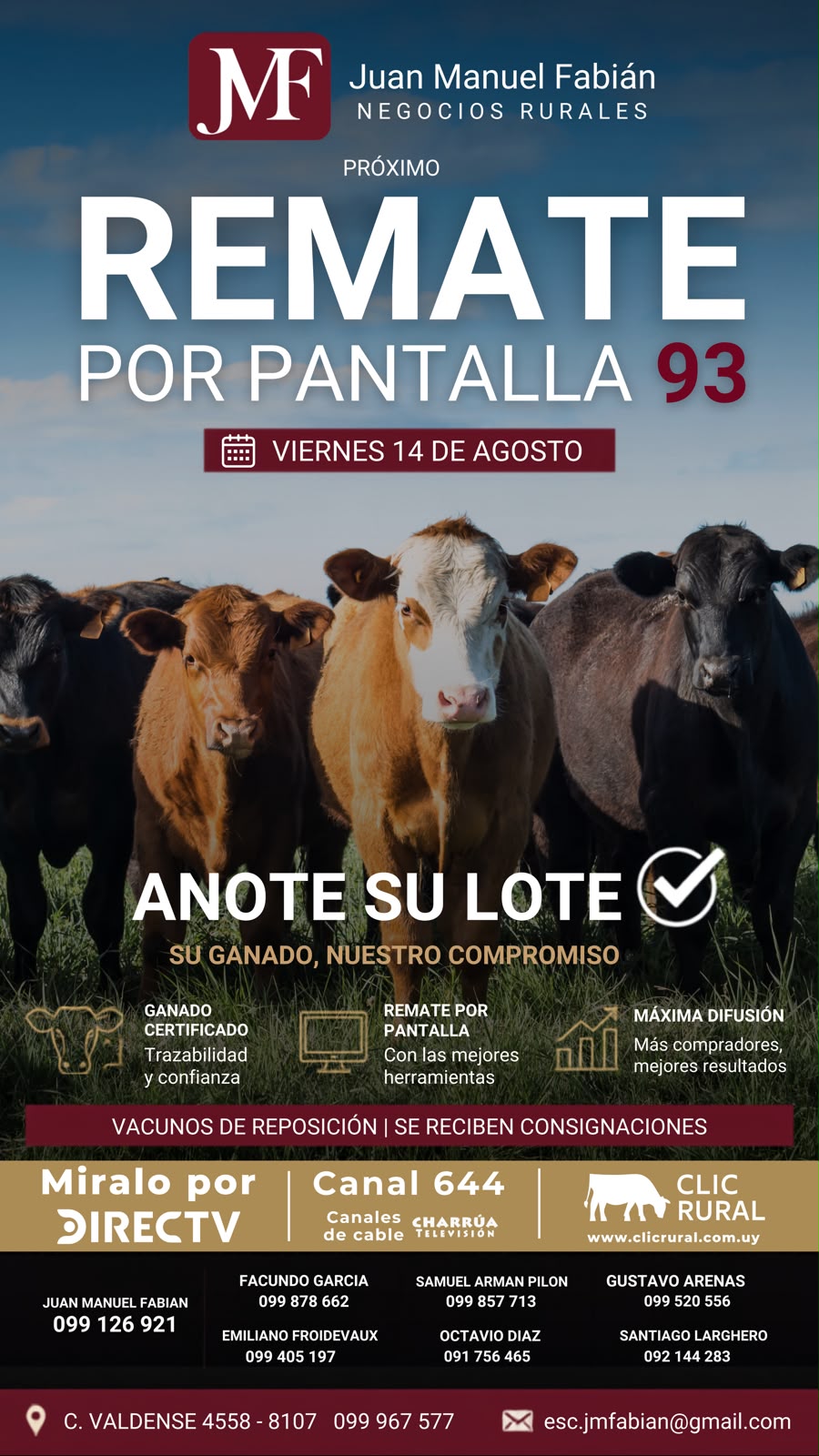 Remate 93º Remate por pantalla