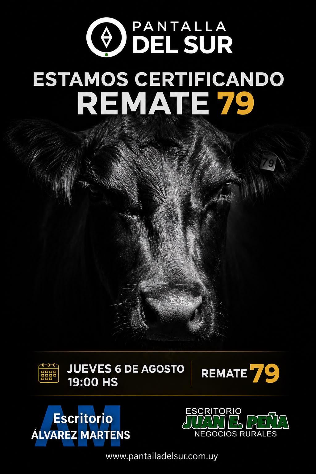 Remate 79º Pantalla del Sur
