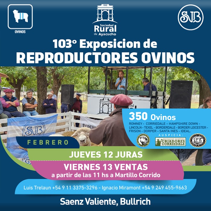 103° Exposicion de Reproductores Ovinos