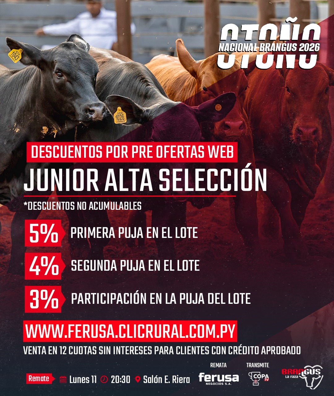 Remate Remate de Junior Alta Seleccion – Nacional Brangus Otoño
