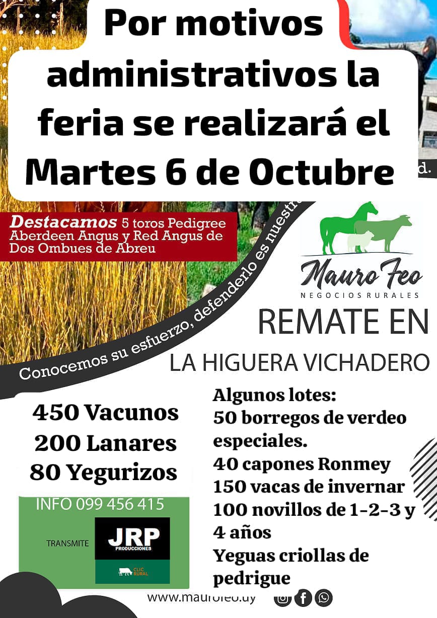 Remate Feria mensual - Mauro Feo
