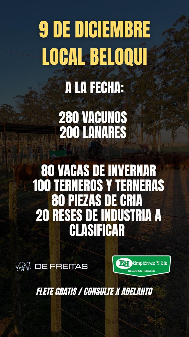 Feria mensual - Umpierrez y Cia