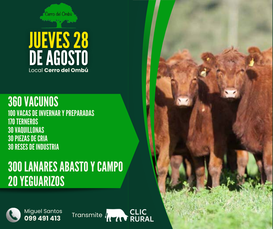 Afiche Feria Mensual - Cerro del Ombu