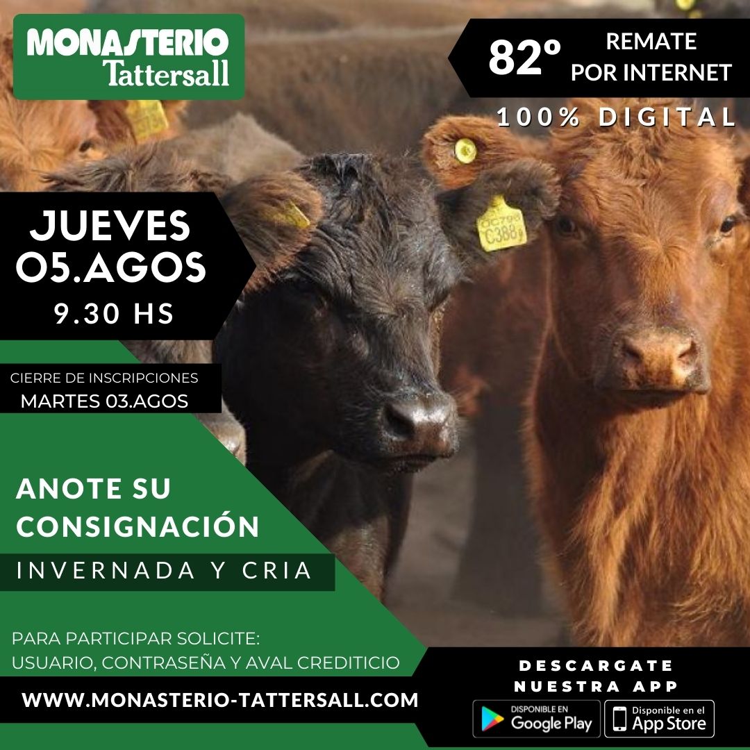 Afiche 82° Remate por Internet