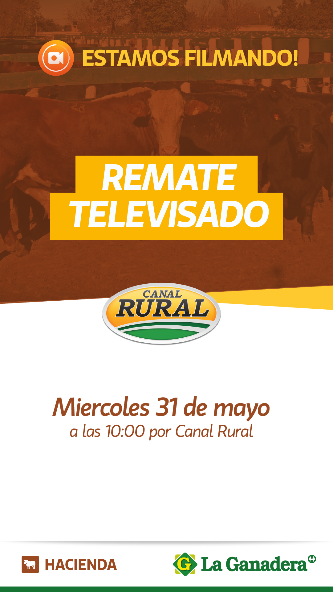 Afiche Remate Televisado