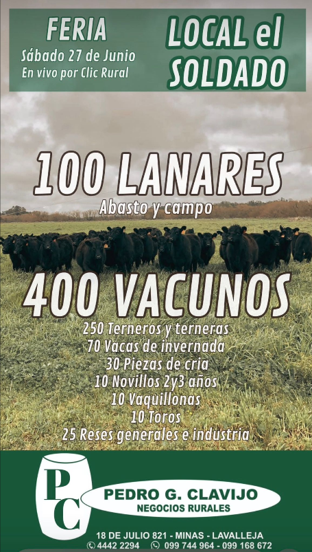 Feria mensual - Pedro G Clavijo