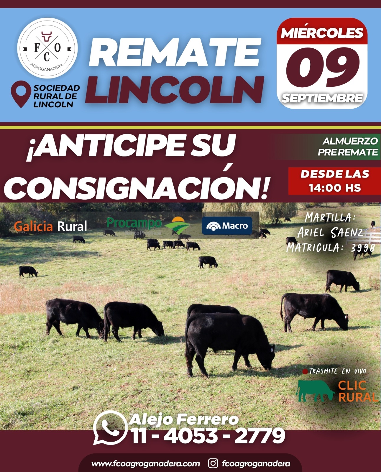 Afiche Remate Lincoln