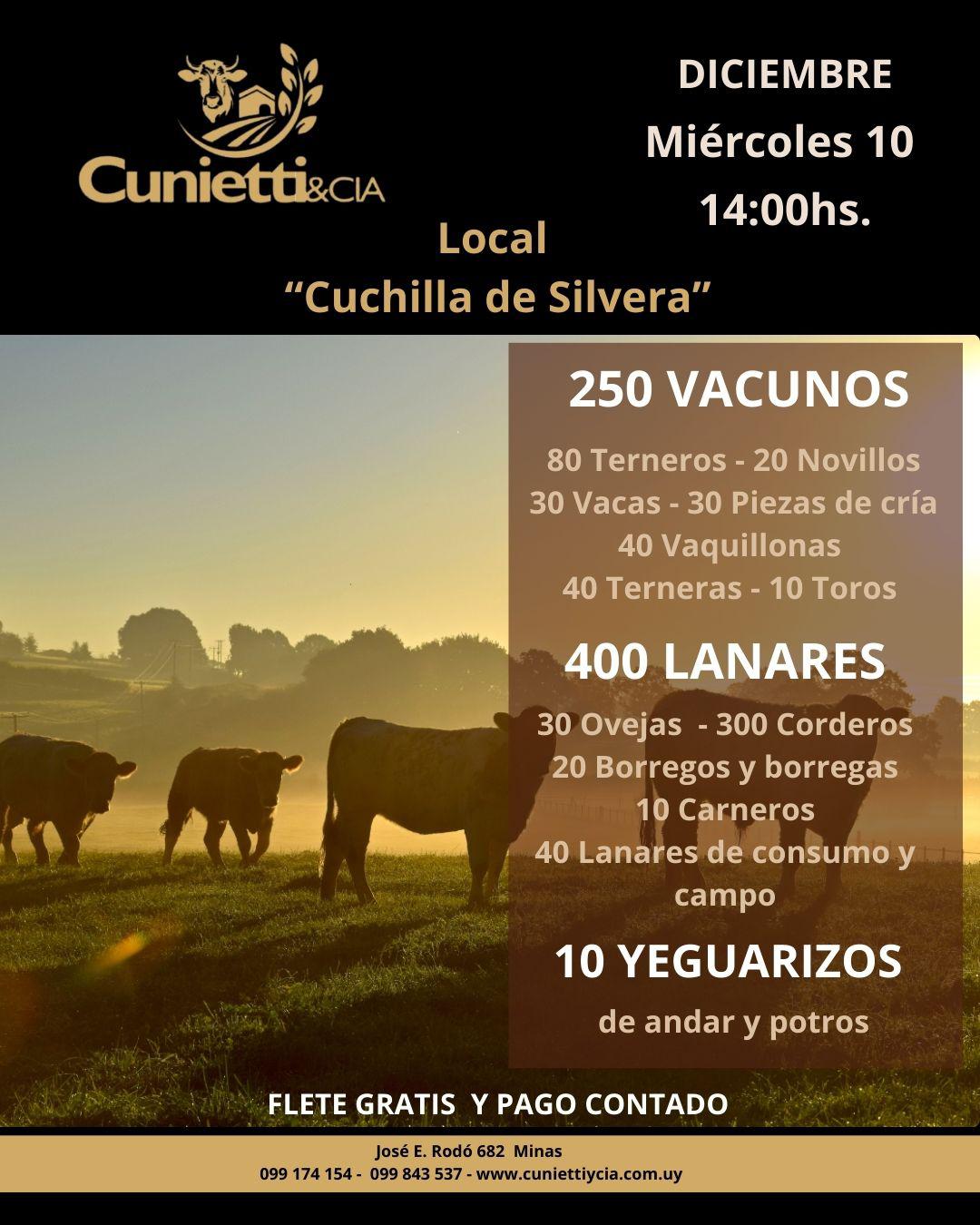 Feria - Cunietti y Cia