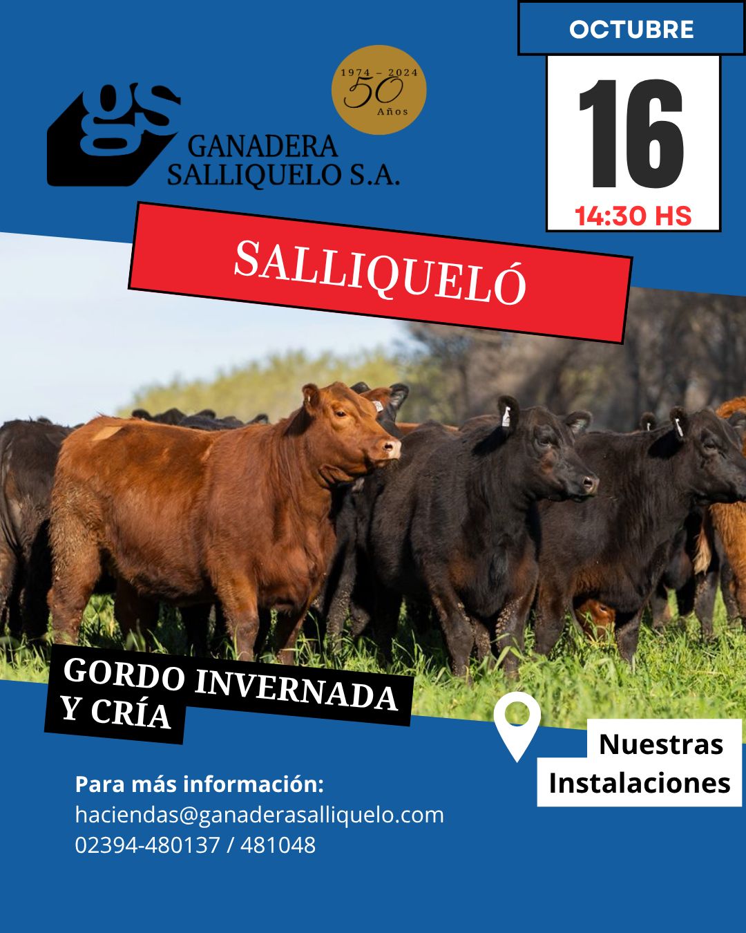 Afiche REMATE FERIA EN SALLIQUELÓ