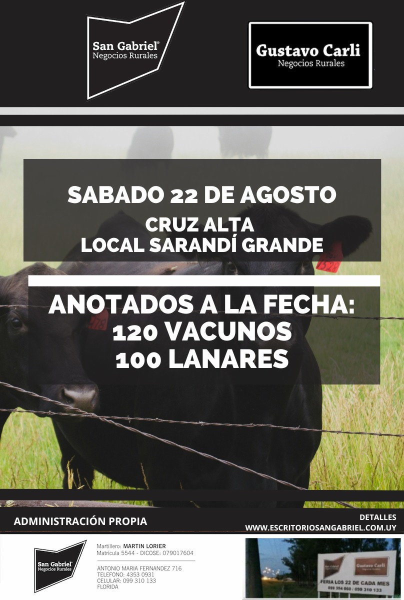 Afiche Feria mensual - Local Cruz Alta