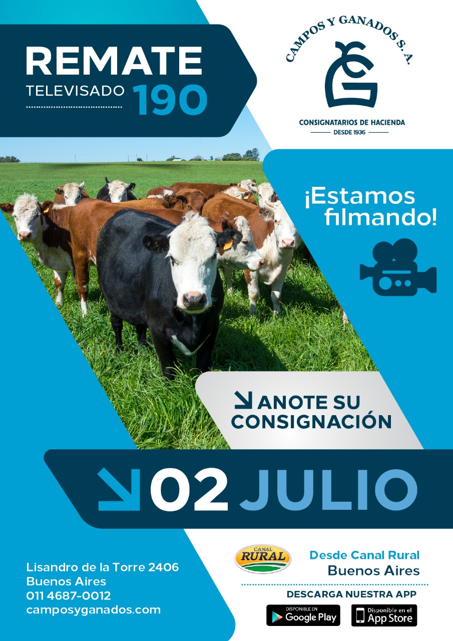 Afiche 190º REMATE POR PANTALLA